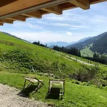 Alpine Dream With Close To Geneva 度假居 *