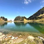 度假居 Alpine Dream With Close To Geneva