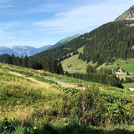 Alpine Dream With Close To Geneva *