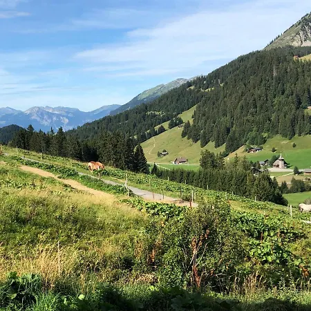 Alpine Dream With Close To Geneva *
