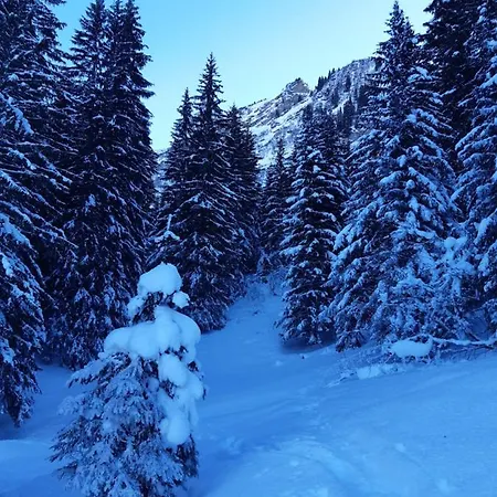 Alpine Dream With Close To Geneva Holiday home *