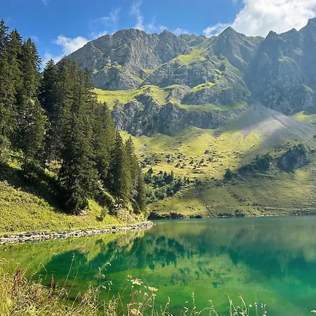 Alpine Dream With Close To Geneva Holiday home Les Mosses