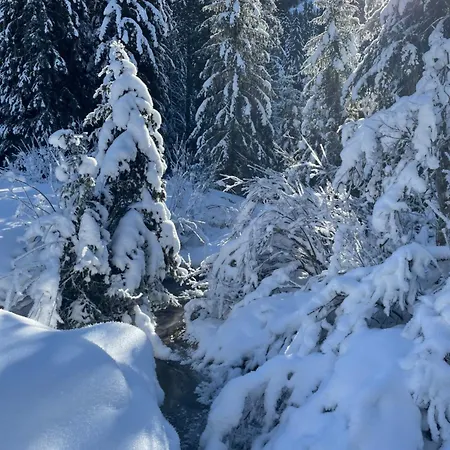 度假居 Alpine Dream With Close To Geneva *