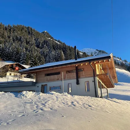 Alpine Dream With Close To Geneva Ferienhaus