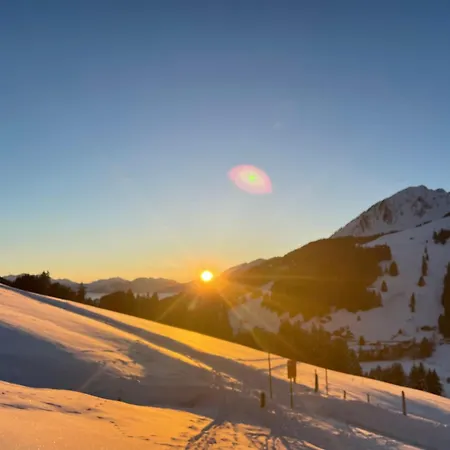 Alpine Dream With Close To Geneva Holiday home Les Mosses