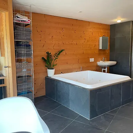 Alpine Dream With Close To Geneva Holiday home