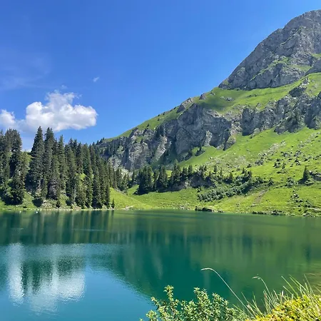 Alpine Dream With Close To Geneva Les Mosses