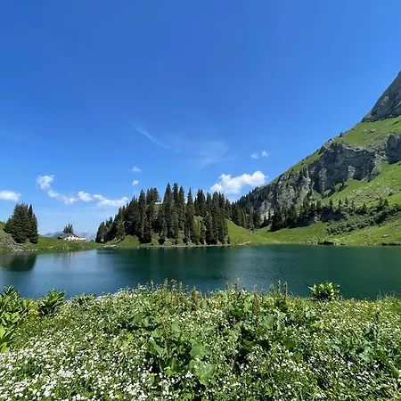 Alpine Dream With Close To Geneva Les Mosses