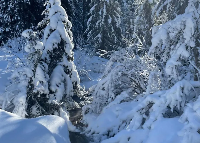 펜션 Alpine Dream With Close To Geneva *