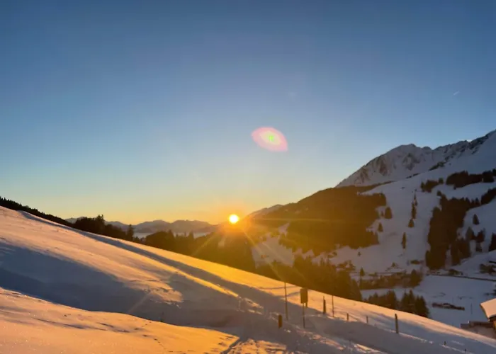 Alpine Dream With Close To Geneva Ferienhaus Les Mosses