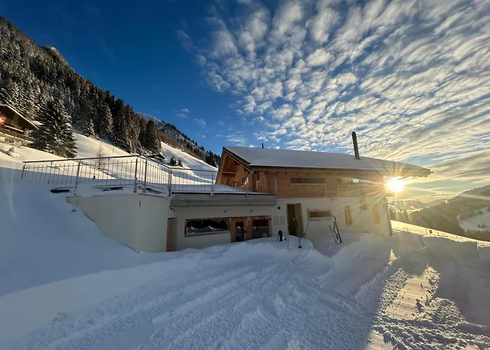 Alpine Dream With Close To Geneva Les Mosses