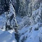 Holiday home Alpine Dream With Close To Geneva *