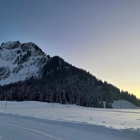Сasa de vacaciones Alpine Dream With Close To Geneva