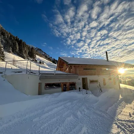 Alpine Dream With Close To Geneva Les Mosses