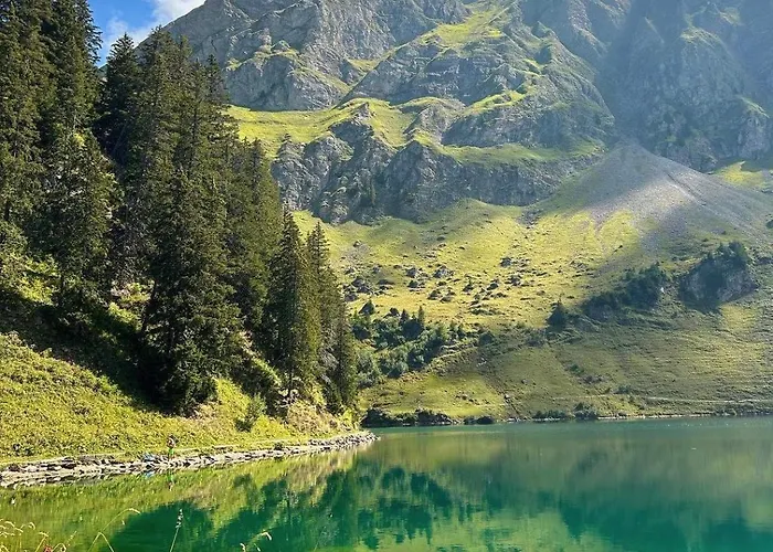 Alpine Dream With Close To Geneva Feriehus Les Mosses