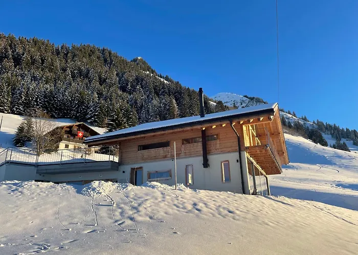 Alpine Dream With Close To Geneva Feriehus