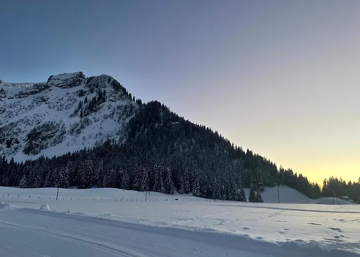 Feriehus Alpine Dream With Close To Geneva